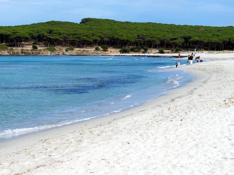Endless Summer Olbia